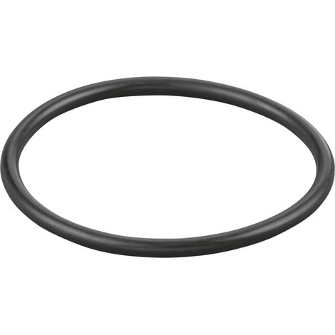 Rems O-Ring 060168