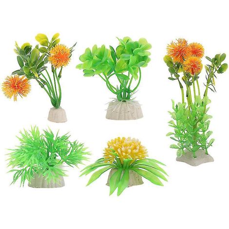 5 plantes aquatiques (1/3)