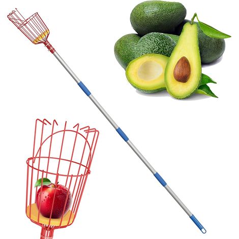 Cueille-fruits, perche de 1,6 m avec panier télescopique, cueille-fruits pour pommiers avec perche extensible, pince à fruits (1/5)