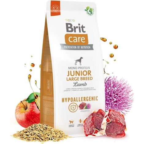 Brit Care Dog Hypoallergénique Junior Grand Agneau 12 kg