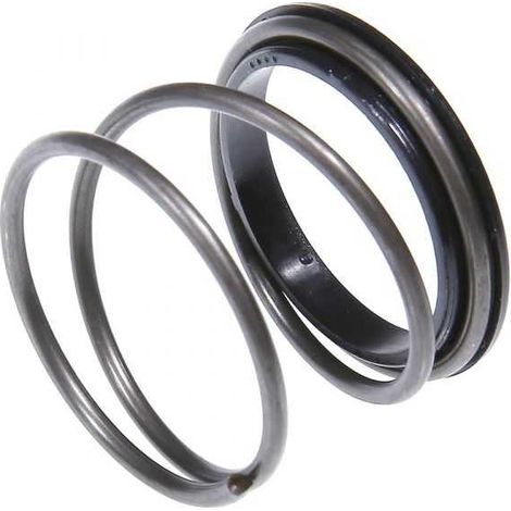 Kit bague + ressort pour tête Easywork Tecomec (1/3)