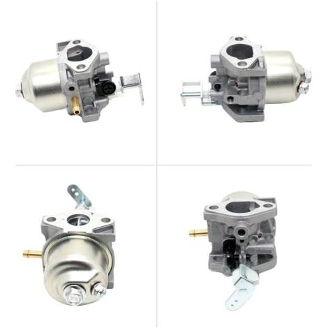 Kit Vergaser per Tagliaerba, Compatibile 1P56F/1P52F 79-96CC, Incluso P15Q-2, Pezzo di Ricambio Originale (1/4)