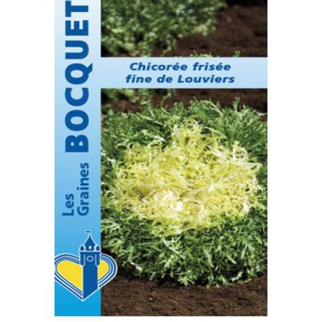 Chicorée frisée Fine De Louviers' le sachet de 2500 graines (4g) (1/2)