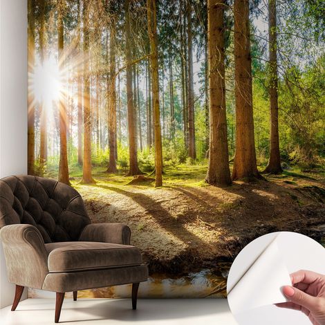 Papier peint adhésif décoratif pour chambre et salon Design moderne à poser facilement Idyllique forêt 250x250 cm (1/5)