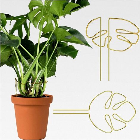 2 supports pour plantes grimpantes, adaptés pour Monstera et autres plantes grimpantes d'intérieur, fixation stable pour vos plantes vertes