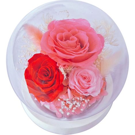 Flores preservadas bajo una cúpula de cristal: regalos para tu novia/esposa en el Día de Qixi, San Valentín, Navidad, graduación o cumpleaños.