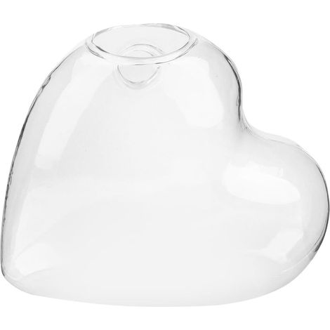 Vase suspendu hydroponique en verre transparent forme de cœur pour plantes aquatiques (1/5)