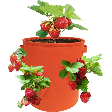 Innenfilter für Aquarien, 8 W, 600 l/h, 80 l, Filterpumpe für kleine Aquarien, Kaltwasser- oder Tropenaquarien, Schildkrötenaquarien