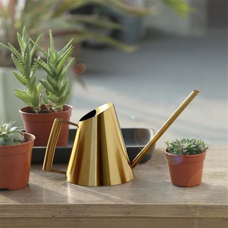 Gießkanne Zimmerpflanzen, Edelstahl Gold Gießkanne, 1,5L Moderner Blumengießkanne Gartengeräte mit Langer Auslauf und Komfort Griff für für Zimmerpflanzen Bonsai Outdoor Garten Blumenpflege (1/5)