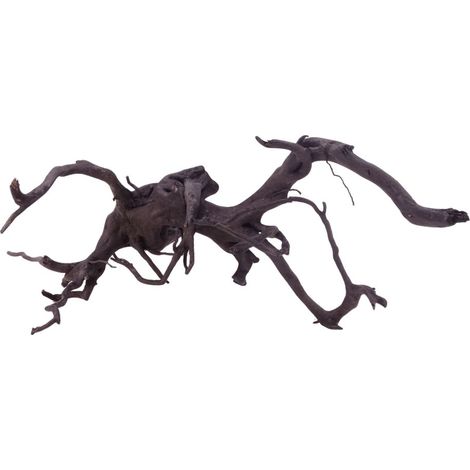 XL Black Spider Wurzel Nr.5261 Fingerwurzel Echtholz Deko Aquascaping