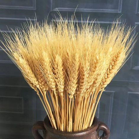 Lot de 100 fleurs artificielles, plantes artificielles, grandes fleurs de blé séchées, bouquet de blé séché naturel, bouquet de tiges de blé séchées (1/3)
