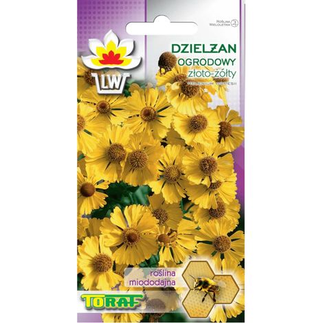Pianta da divisione per giardino color giallo oro 0,5 g