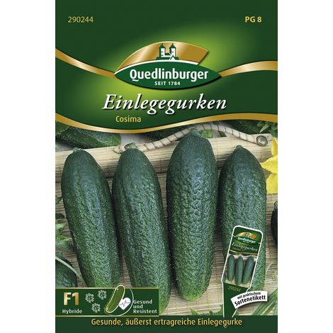 Quedlinburger Einlegegurken Cosima - Gemüsesamen (1/2)
