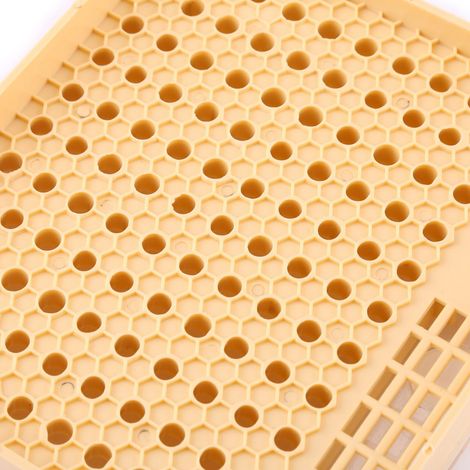Lot de 20 Barres d'Élevage de Reines avec Coupelles et Capuchons en Plastique pour Ruche, Outils d'Apiculture (1/5)