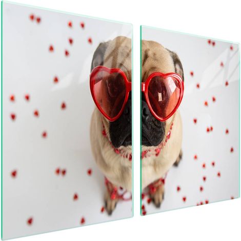 Plaque de protection en verre pour poêle 2x45x52 Chien (1/5)