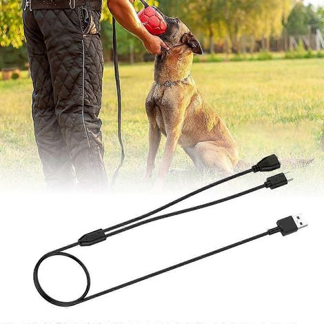 Câble de charge efficace pour collier de dressage Delupet DT66, DT67 et DT68 (1/4)