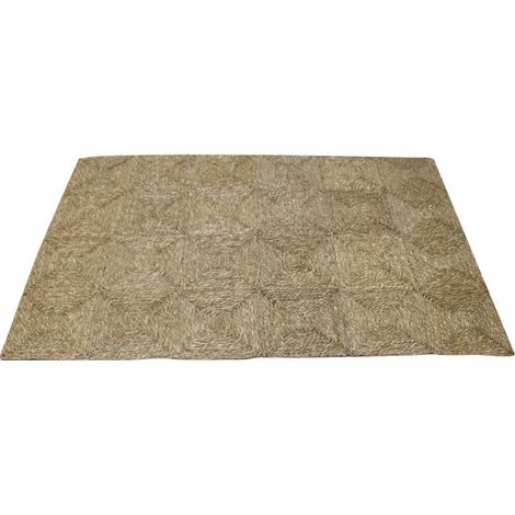 Tapis rectangulaire tressé en jonc de mer 120x180cm – Beige – Tapis shaggy élégant pour salon et chambre – Apporte une touche chaleureuse – Fornord (1/4)