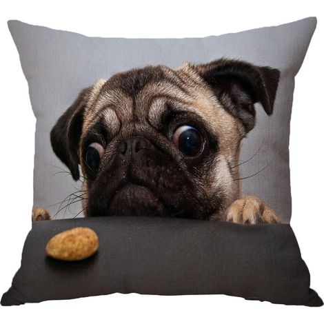 Housse de coussin taie d'oreiller motif animal pour chien voiture canapé 45x45cm (1/5)
