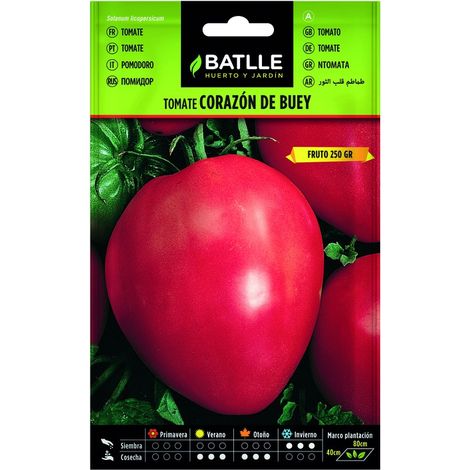 Semillas de tomate corazón de buey Batlle