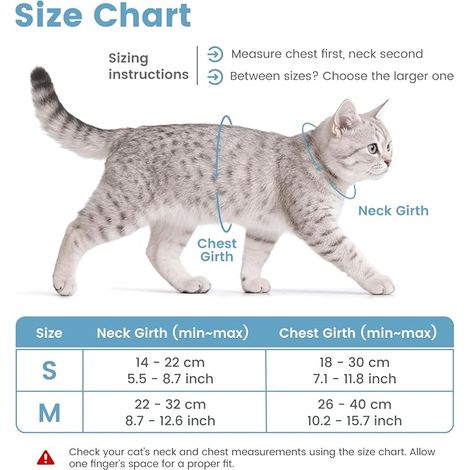 PETTOM Harnais Laisse Chat (M, Bleu) Anti Évasion, Réglable, Laisse Corde de 145 cm, Pour Chaton Chat Adulte (1/4)