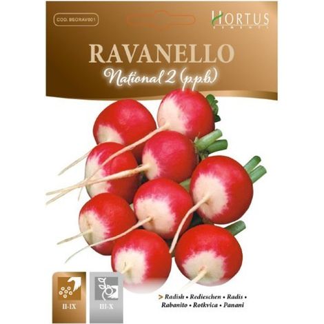 Ravanello National 2 P.P.B. schnell wachsend und aromatisch