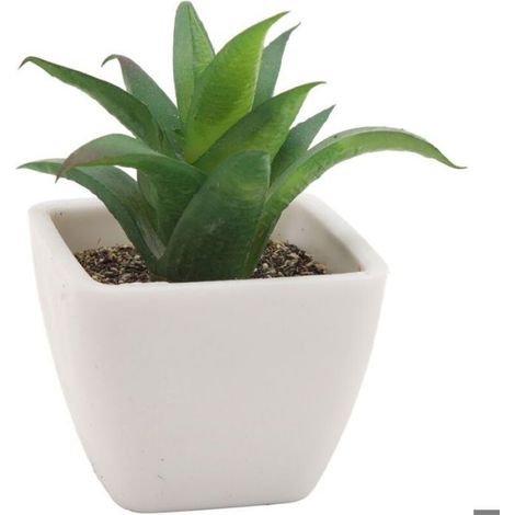 Plante Succulente Artificielle - En Pot - Réaliste - Sans Entretien - Pour Intérieur Salon Bureau - Lot De 6 (1/5)