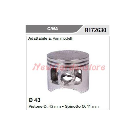 Pistone segmenti spinotto CINA vari modelli R172630