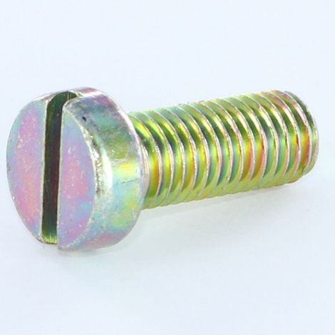 Vis métaux Tête cylindrique TC Fendue M6X40 Bichromaté-10 pièces