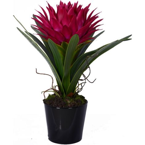 Premier Housewares Pink Tropical Plant with Black Ceramic Pot (1/4)