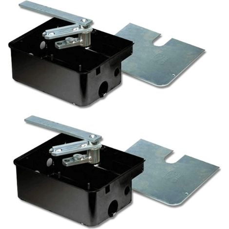 Came – Kit 2 boîtes de fondation en acier anticorrosion 1U1985 – Pour moteurs souterrains FROG – Traitement cataphorèse
