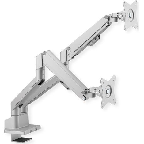 Roline Supporto per Monitor LCD Argento Doppio Braccio