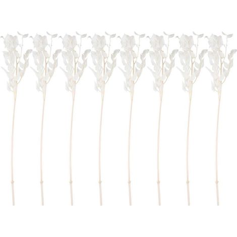 Fleurs de ruscus séchées de 45 cm, stabilisées à vie, pour la décoration florale à faire soi-même, bouquet de fleurs séchées pour mariage et décoration intérieure (1/5)