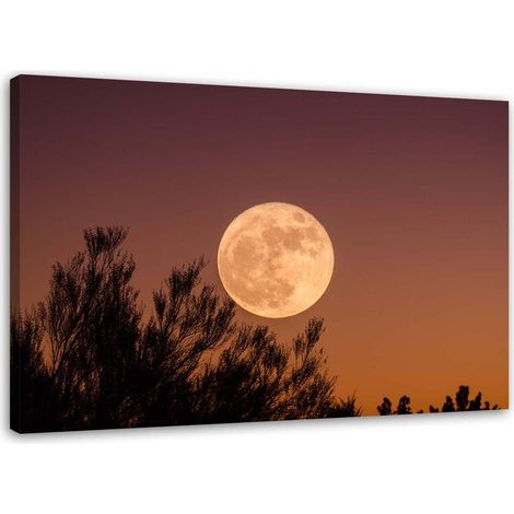 Tableau sur toile Lune derrière l'arbre 60x40 (1/5)