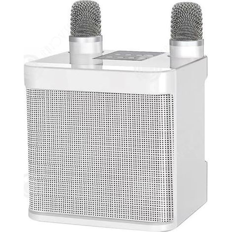 Enceinte Bluetooth sans fil INN avec 2 microphones sans fil pour chanter, système de sonorisation portable pour les fêtes (1/4)