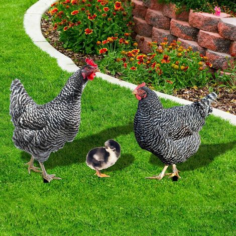 Lot de 3 piquets décoratifs en acrylique représentant un coq et une poule, pour jardin ou terrasse. (1/4)