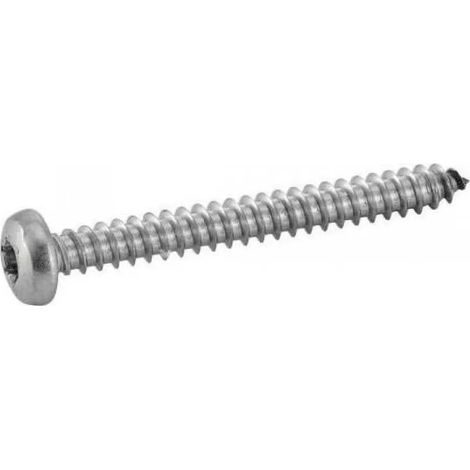 Vite Euromarine iso 14585 acciaio inox 4,2x13 mm Torx