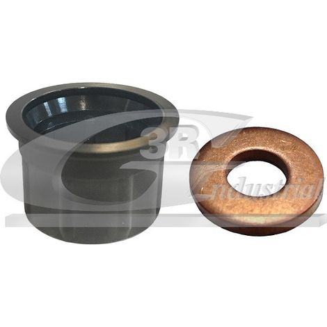 3RG 84233 KIT INYECTORES (2PCS)