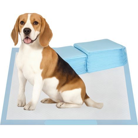 Dog pads 80 unités 60x60 cm design 6 couches surface étanche séchage rapide bleu (1/4)