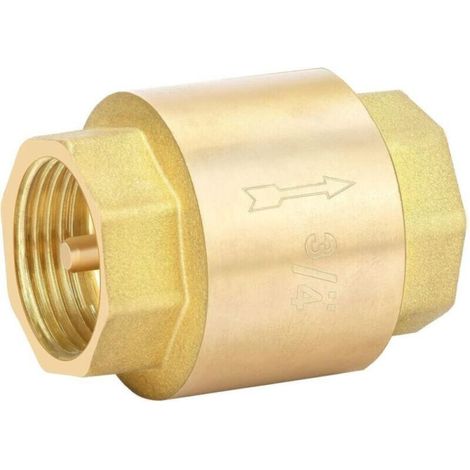 Clapet Anti Retour 3/4 Pouce en Laiton Vanne Anti Retour Verticale pour Pompes, Puits et Machines à Laver (1/4)