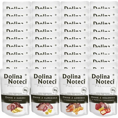 DOLINA NOTECI DISH Nassfutter für Hunde, Mischung verschiedener Geschmacksrichtungen, 40 x 100 g