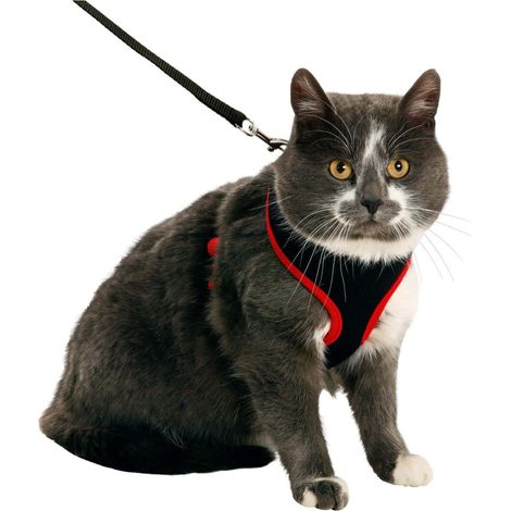 Harnais pour grand chat, couleur noir et rouge, taille L, réglable - animallparadise