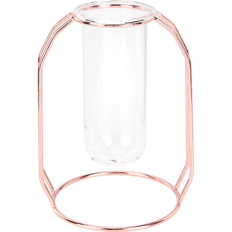 Vase Hydroponique Transparent pour Plantes, Déco de Table Dorée Rose Maison