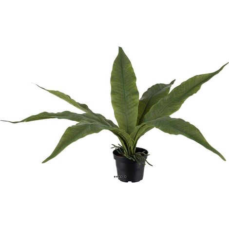 Fougère Asplénium artificielle et ses racines en pot H 40 cm - dimhaut: H 40 cm (1/3)