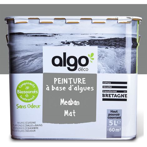 Peinture écologique Algo - Mat - Gris Méaban - 5L (1/5)