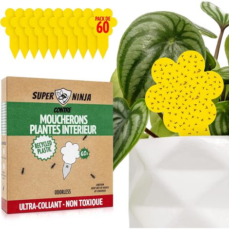 60 Pièges Jaunes Collants, Non Toxiques, Anti Moucherons Terreau, Efficace 3 Mois, Pour Plantes Intérieur (1/5)