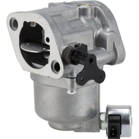 Carburateur BRIGGS & STRATTON 596102 (1/2)