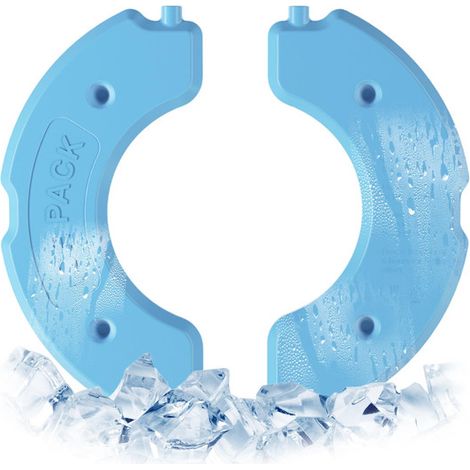 Lot de 2 pains de glace réfrigérants pour distributeur automatique de nourriture pour chat et chien (1/5)