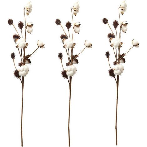 Baumwollstiele Bauernhausdekoration Blumendeko Vasenfüller 3er-Set (1/5)