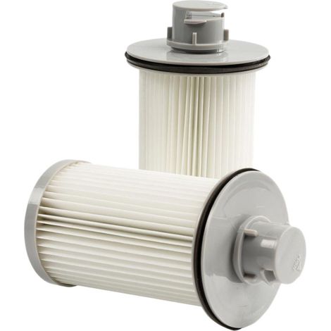Lot de 2 filtres EF78 cyclone d'origine