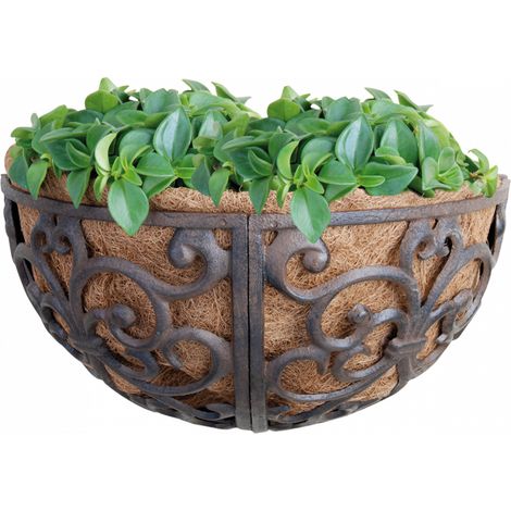 Ratelier mural en fonte - Garniture fibre de coco - L 35,4 x H 17,8 cm - Livraison gratuite